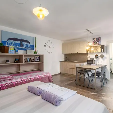 Dom wakacyjny House Cetiri Hrasta Pićan