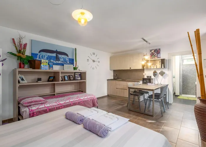 펜션 House Cetiri Hrasta Pićan